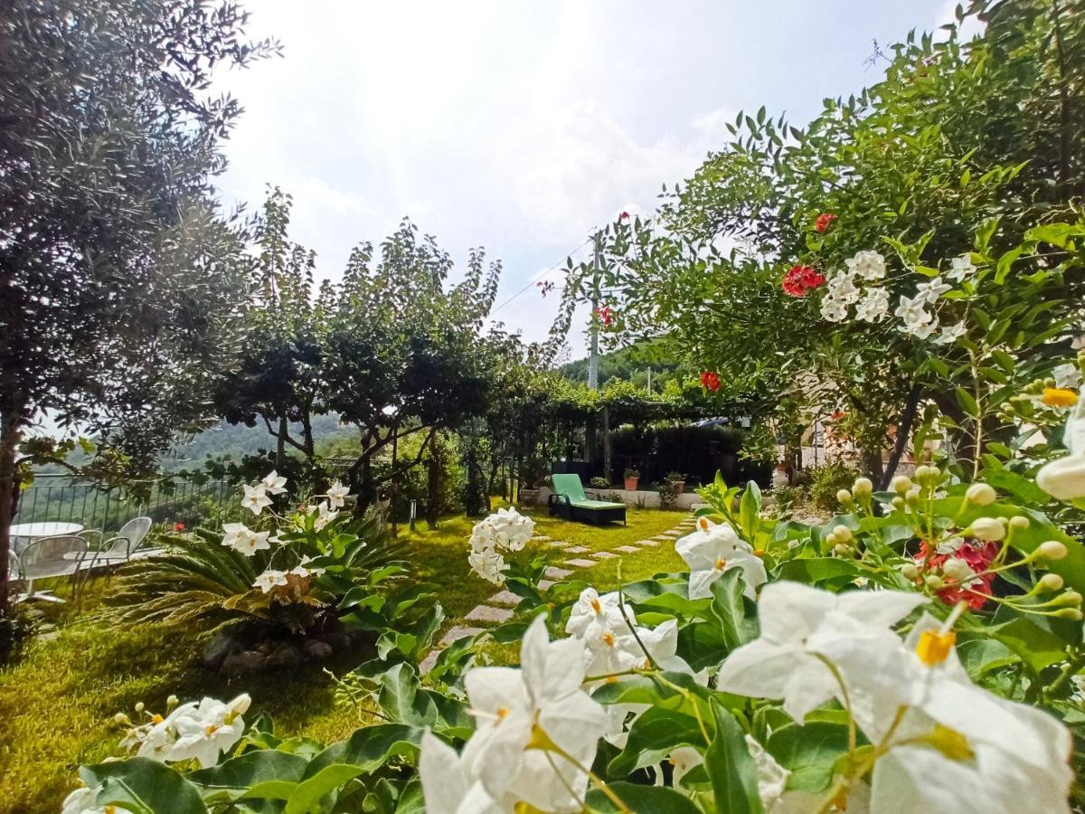 La Roccia Incantata Amalfi Coast В'єтрі Екстер'єр фото