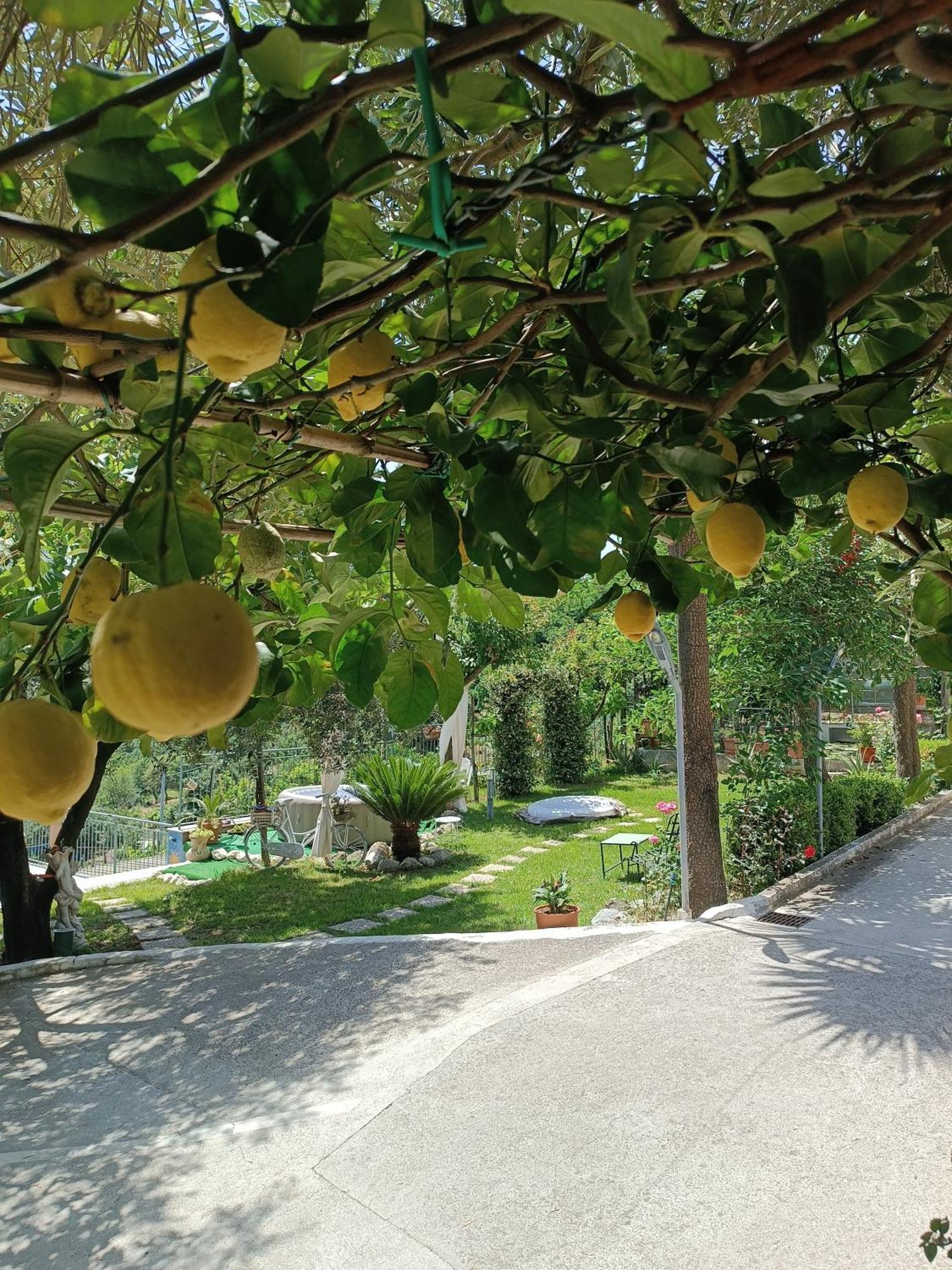 La Roccia Incantata Amalfi Coast В'єтрі Екстер'єр фото